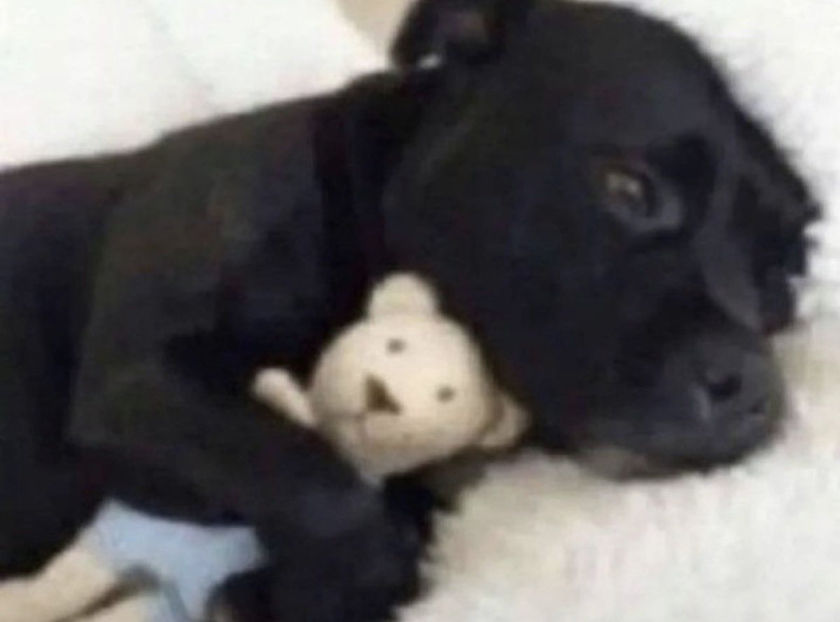 jackiee. 🥪 tweet media