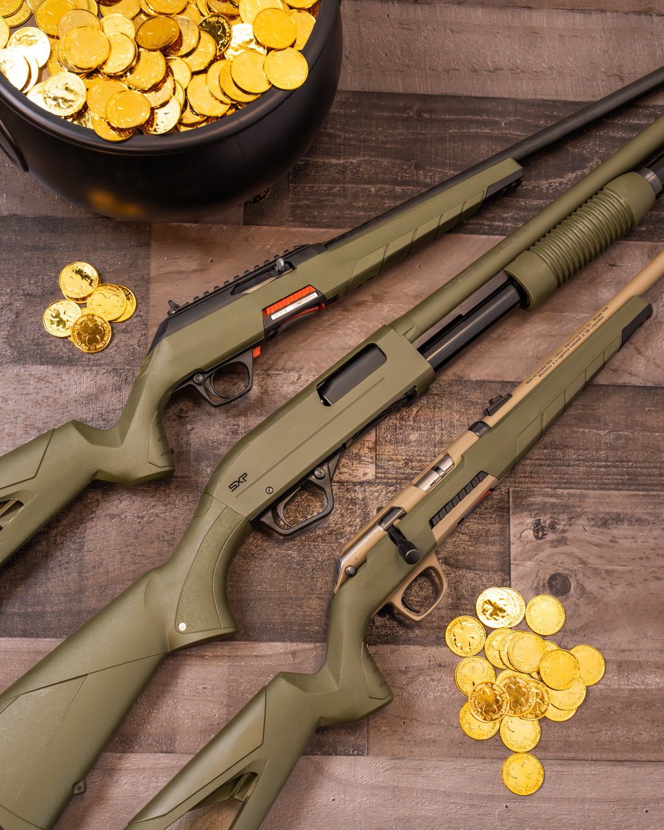 Winchester Guns tweet media