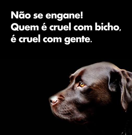 <a href="/gabrielorelha_/">Gabriel</a> #JustiçaPorOrelha