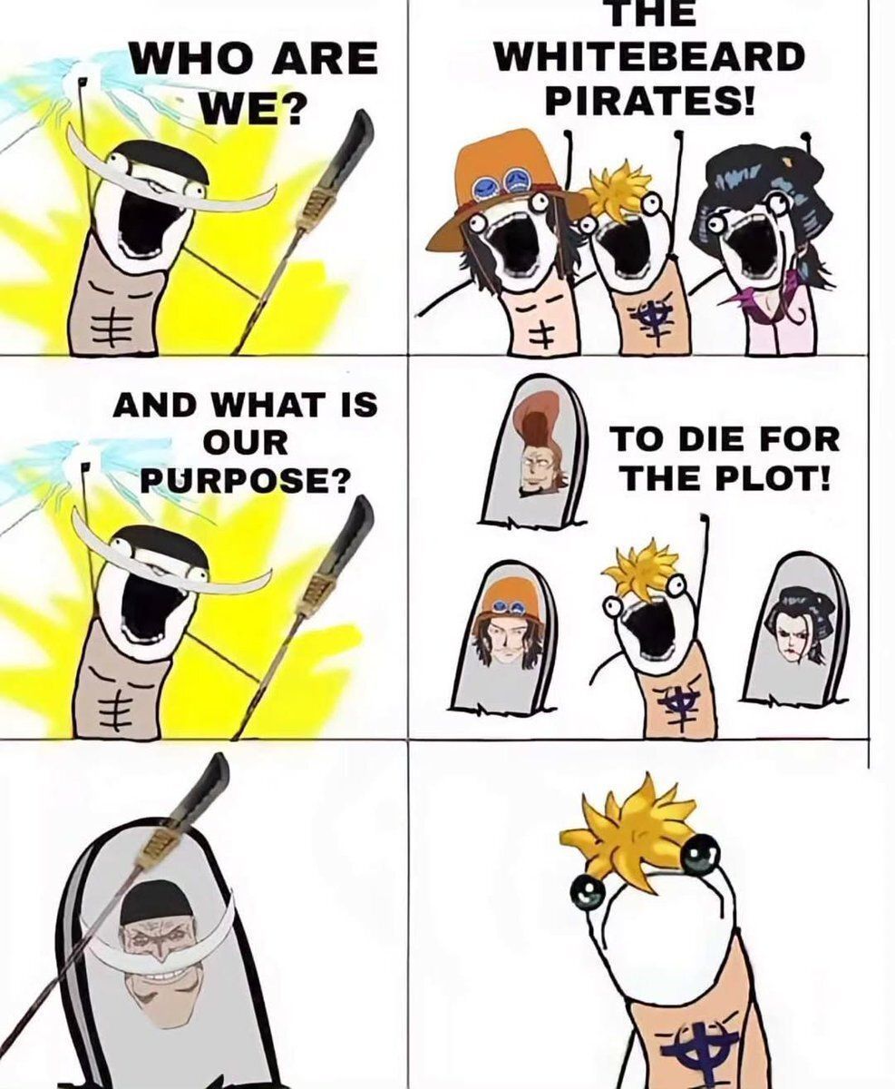 One Piece Daily tweet media