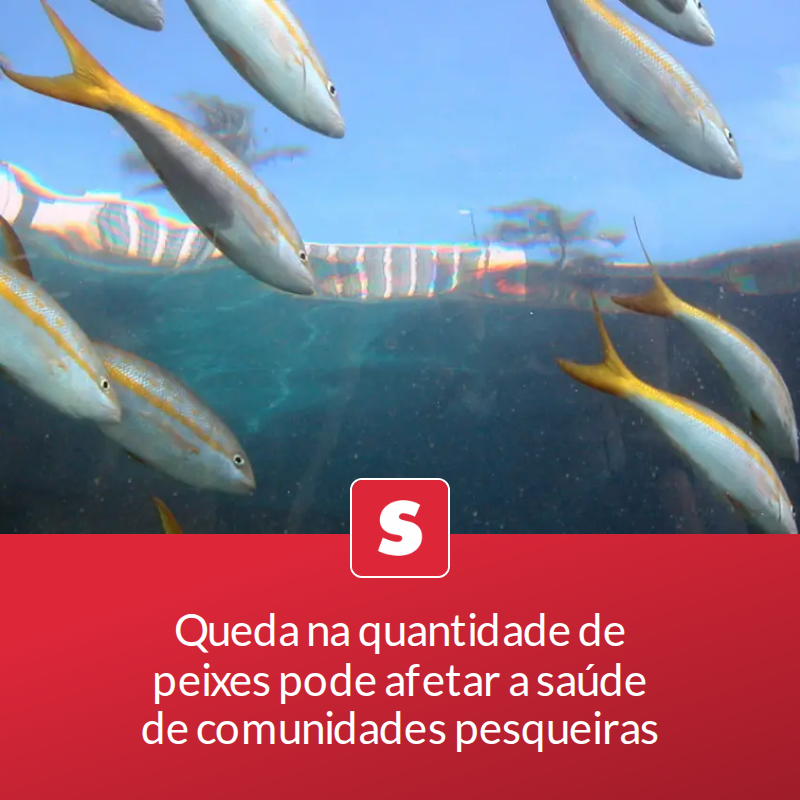 revistasuper's tweet photo. Queda na quantidade de peixes pode afetar a saúde de comunidades pesqueiras

Pesquisa indica que a redução de espécies marinhas pode diminuir em até 70% a oferta de certos nutrientes para comunidades pesqueiras

📖 Leia a matéria no link - https://t.co/Q6RSa1CxZA https://t.co/vPAuWWqQZ3