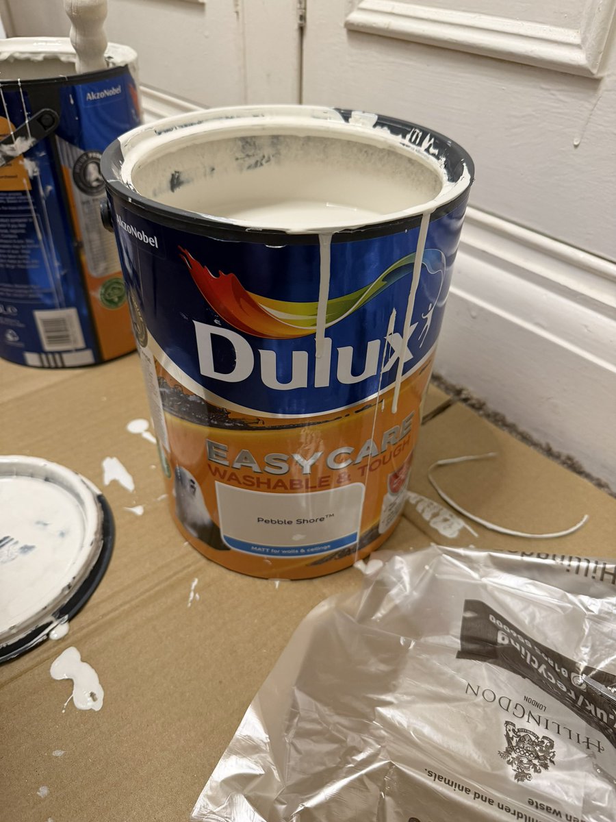 Sportsfan! tweet media