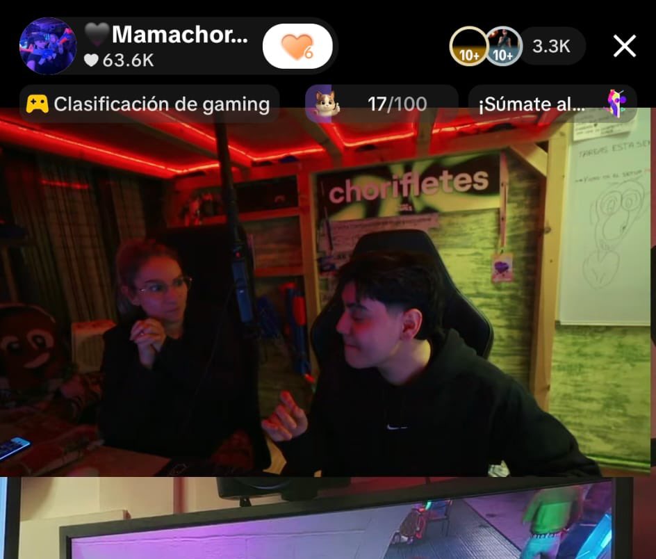 Chorifletes tweet media