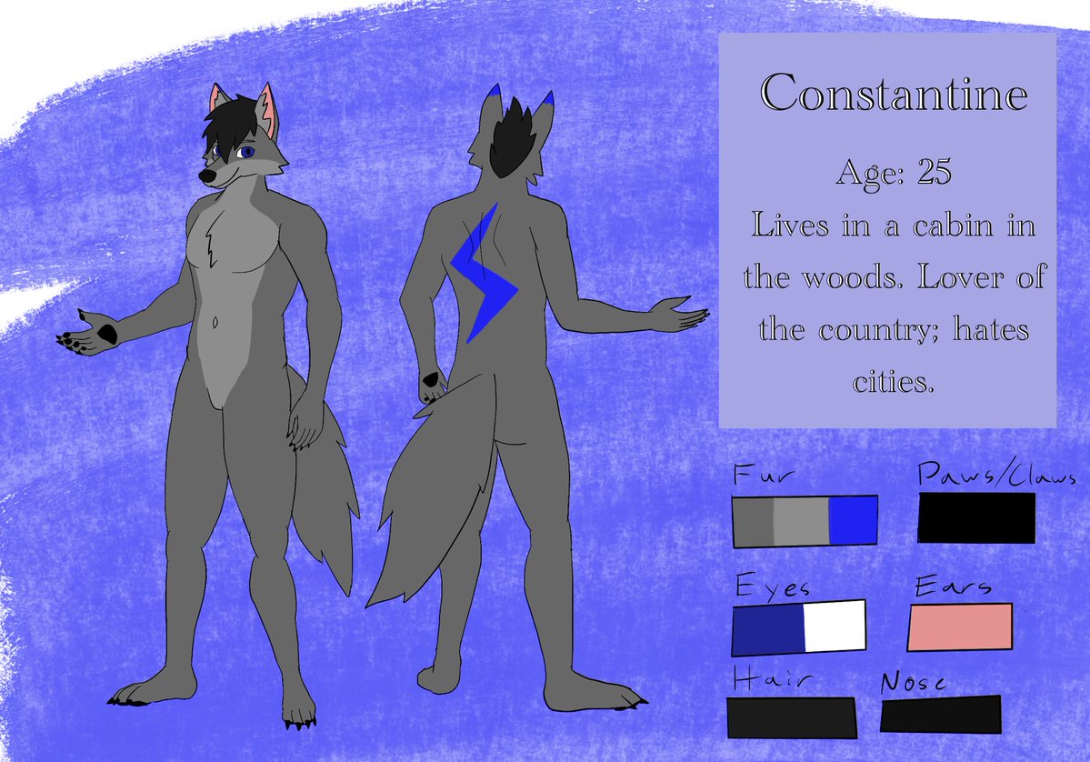 basedman🇺🇸 tweet media