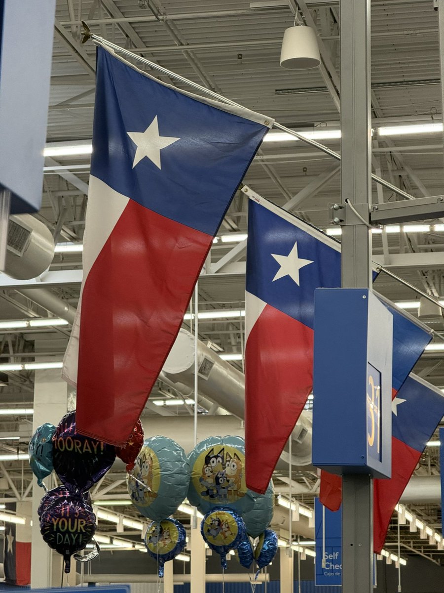 🌙⭐️petalwave~🌙⭐️ tweet media