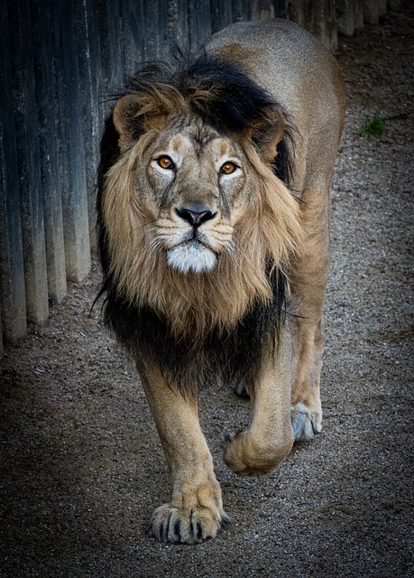 Nick Hart tweet media