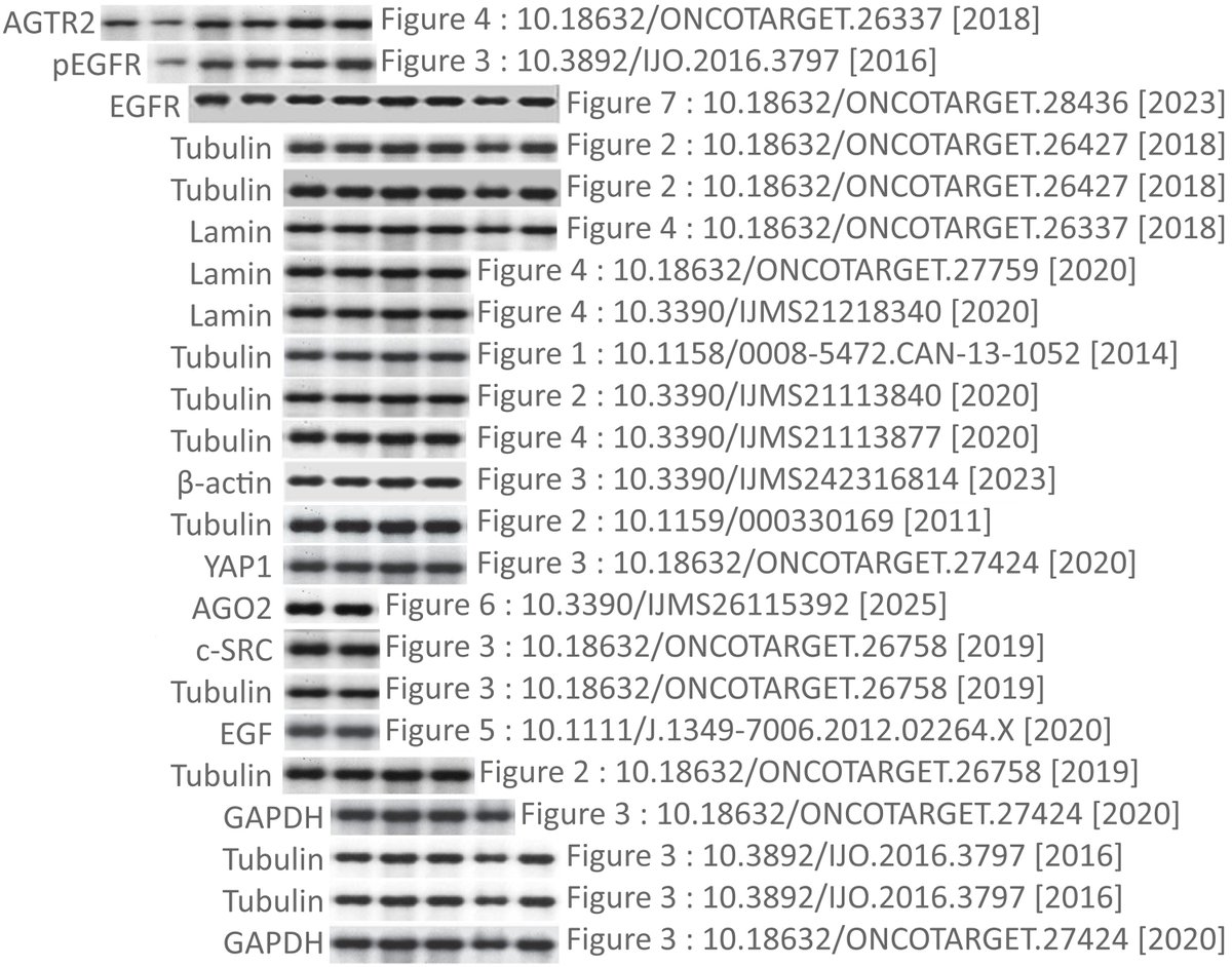 Sholto David tweet media