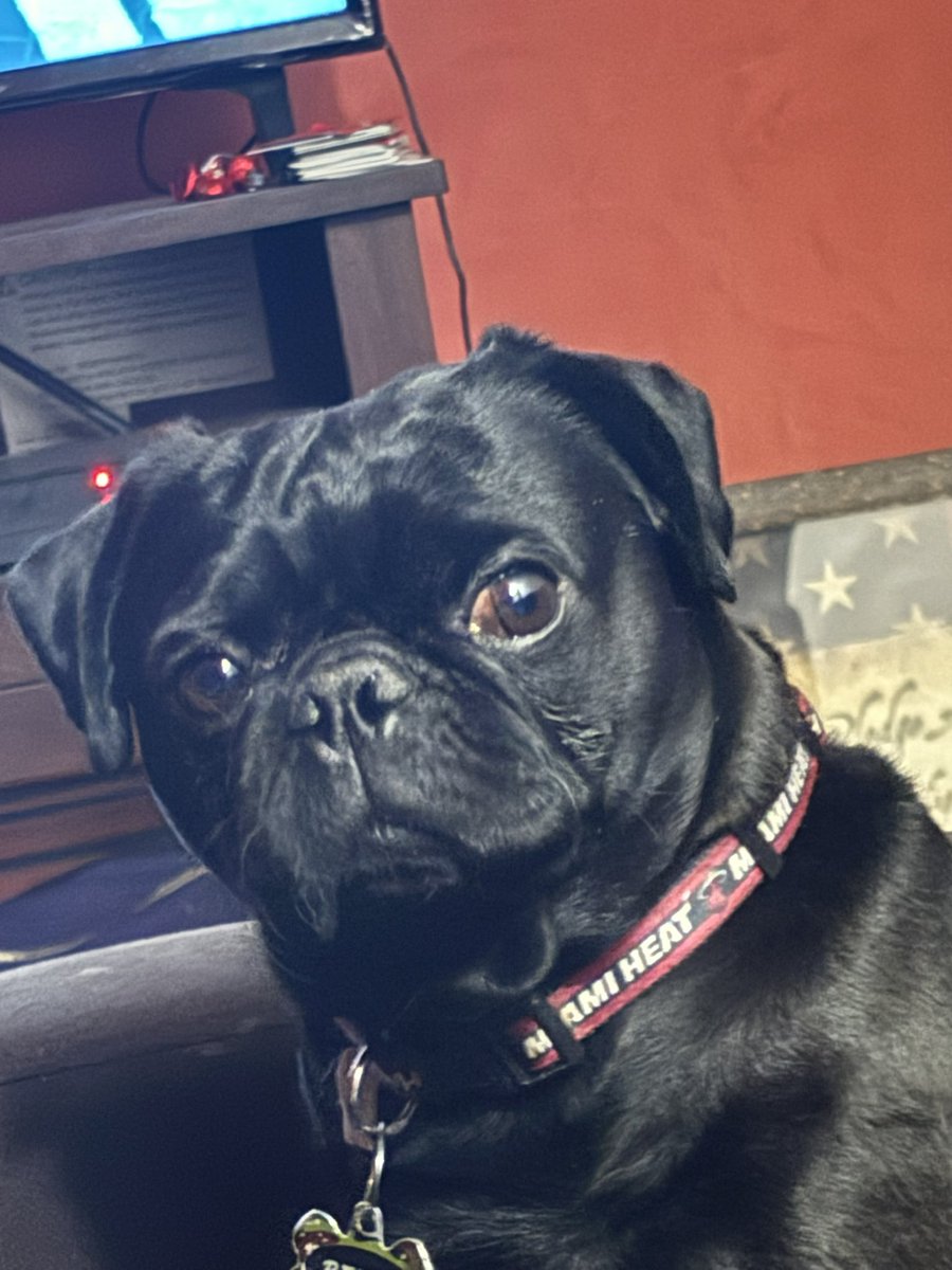 Roberdrch tweet media