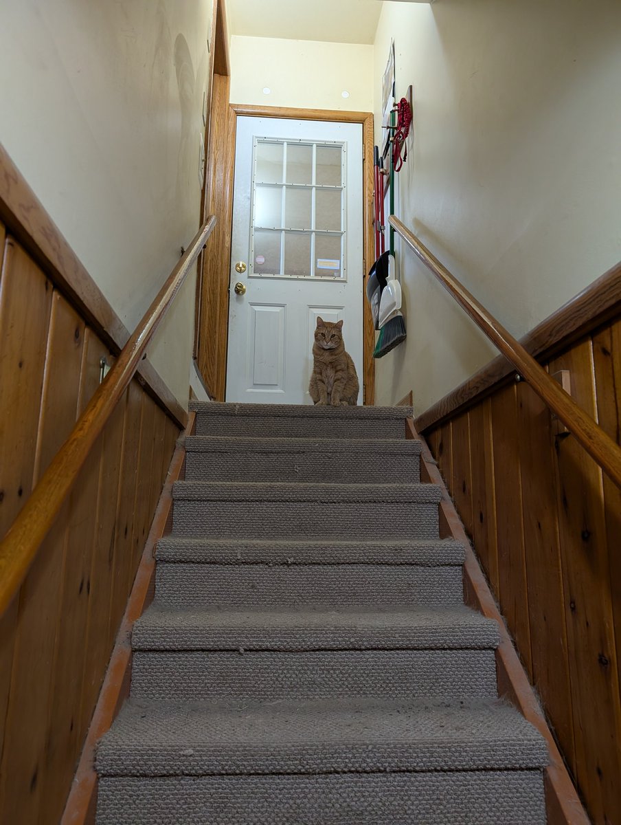 Ben Heckendorn tweet media