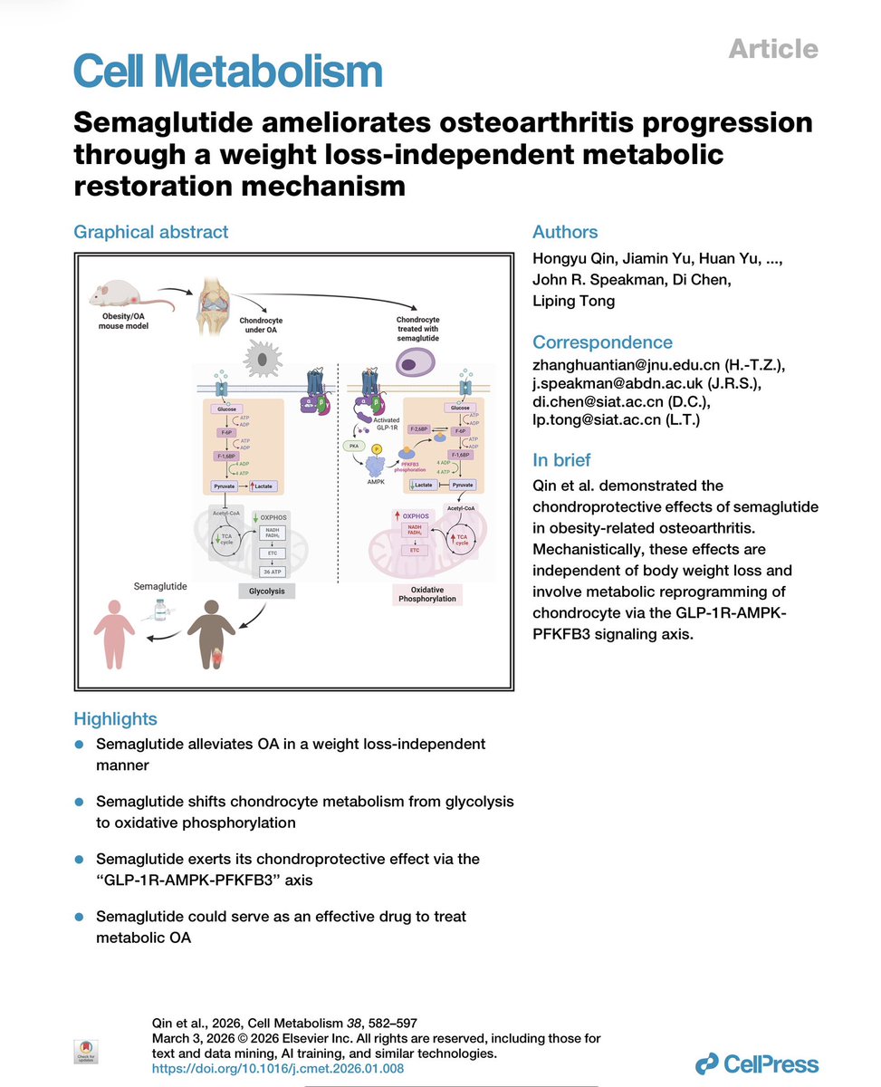 Luigi Fontana, MD, PhD, FRACP tweet media
