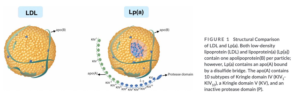 د. إبراهيم الحمود | Ibrahim Alhomoud tweet media