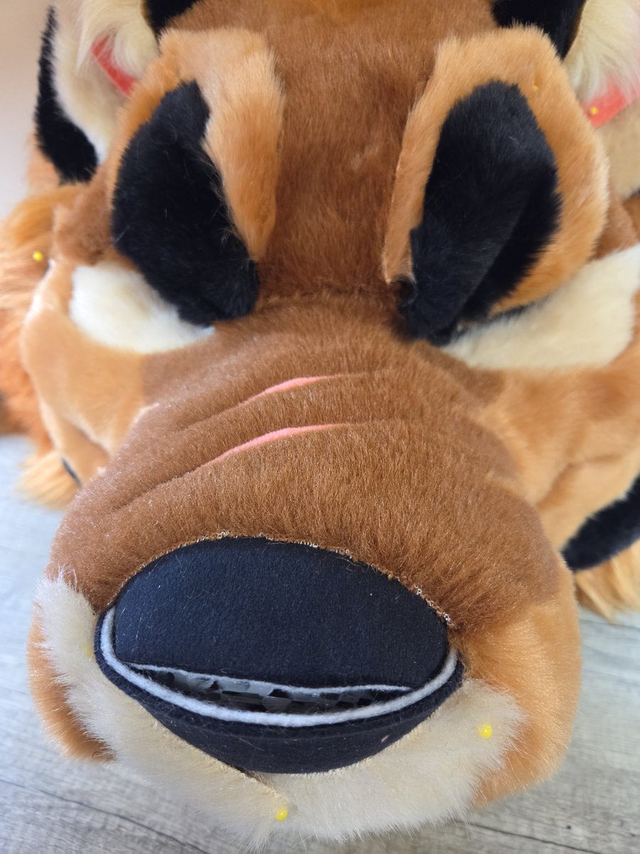 MulticolorBark tweet media