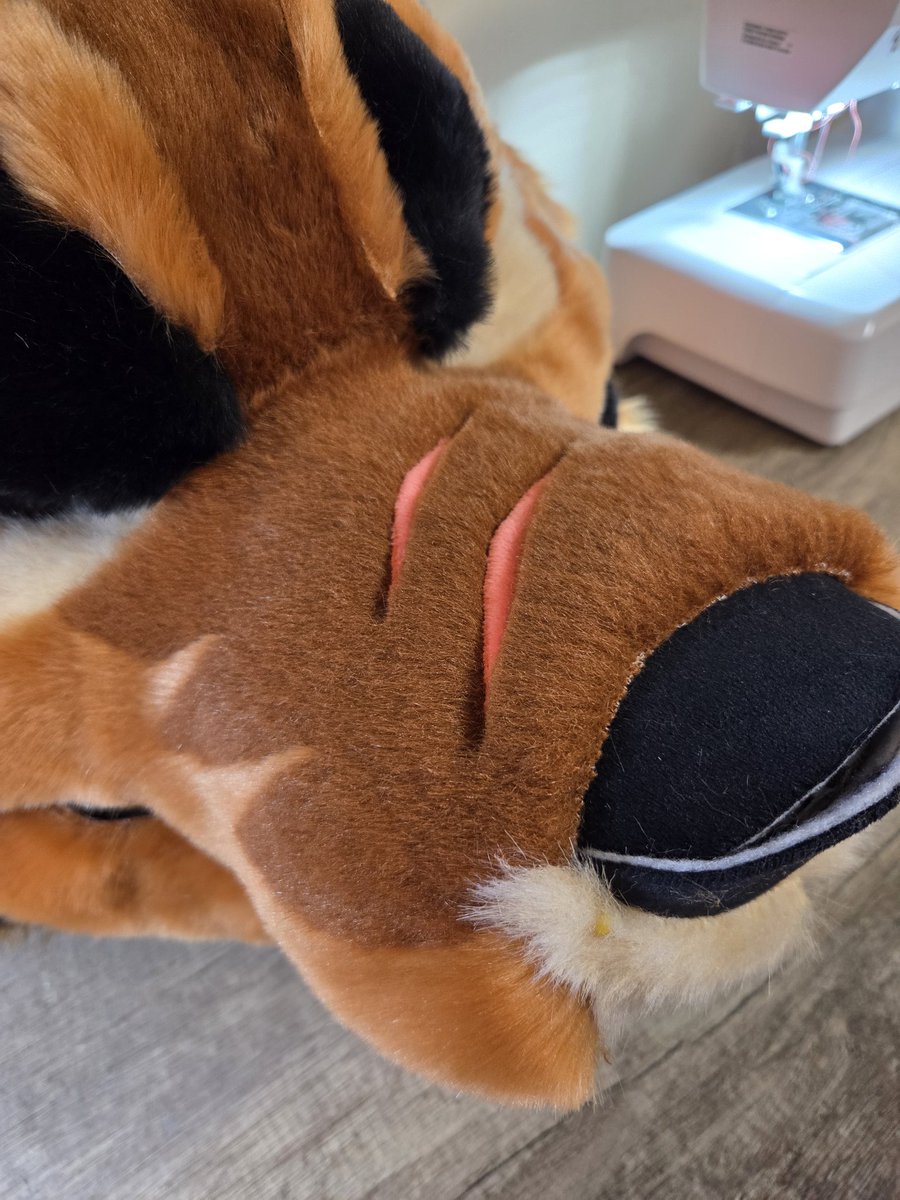 MulticolorBark tweet media