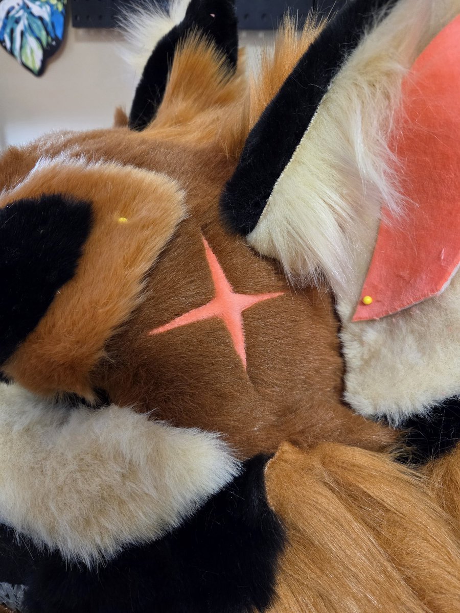 MulticolorBark tweet media