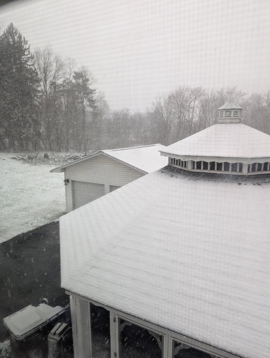 Zach Sternart tweet media