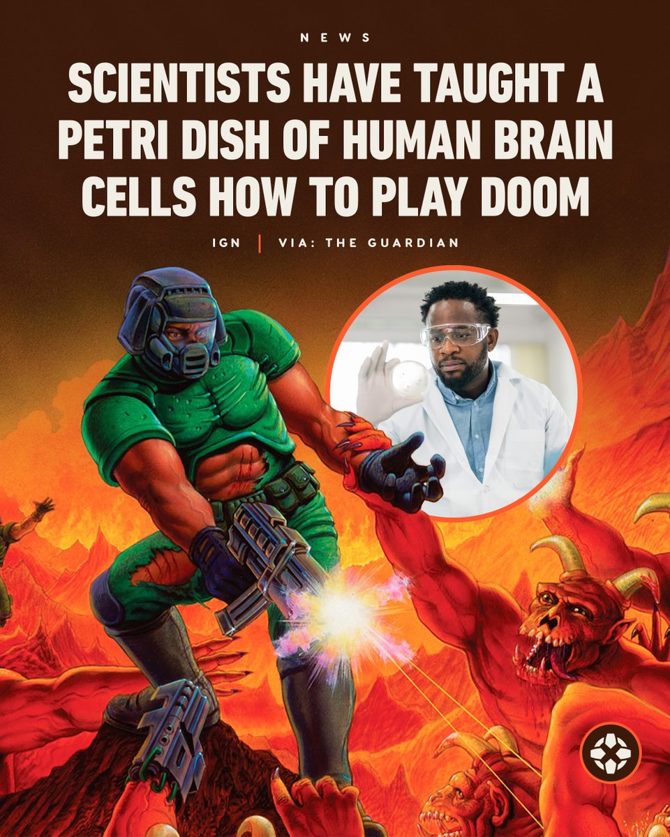 IGN Australia tweet media