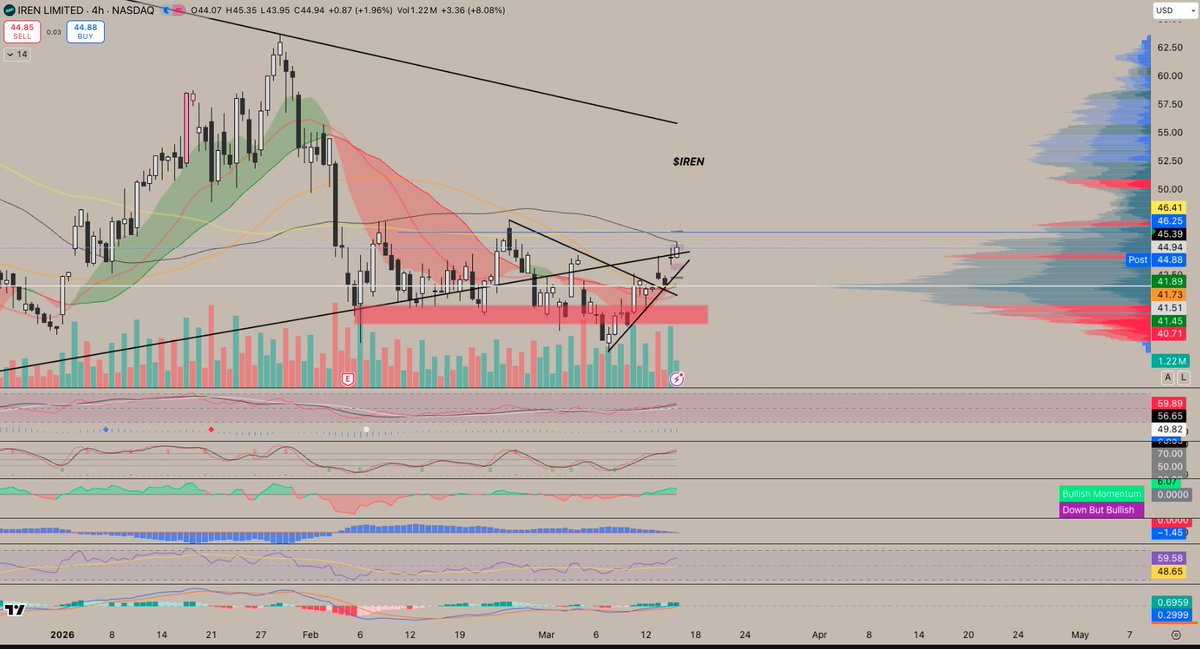 Ppherman_ tweet media