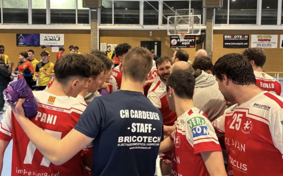 CatHANDBOL tweet media