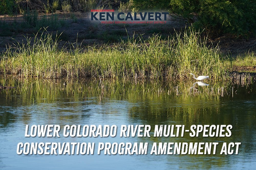 Rep. Ken Calvert tweet media