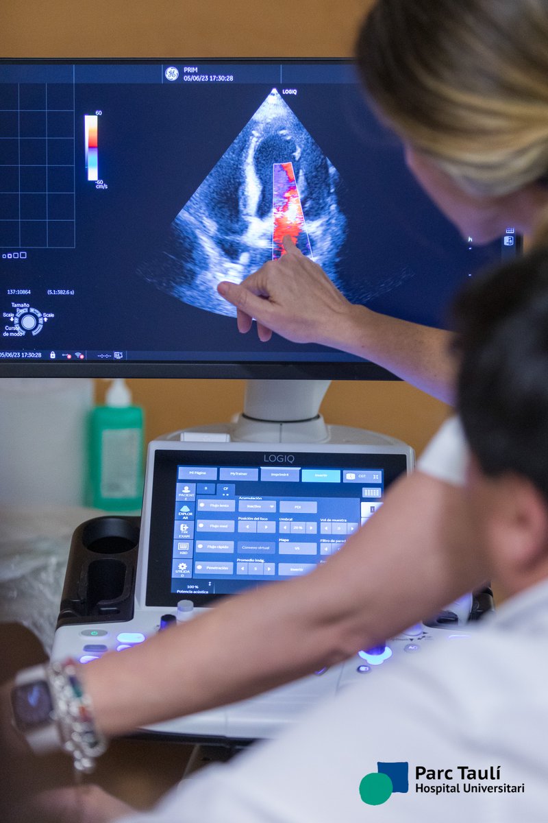 Jose Ibeas tweet media