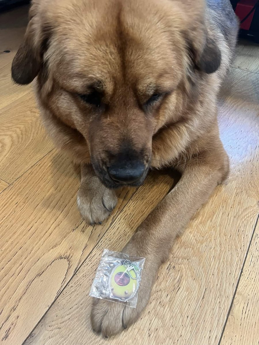 H&D Productions tweet media