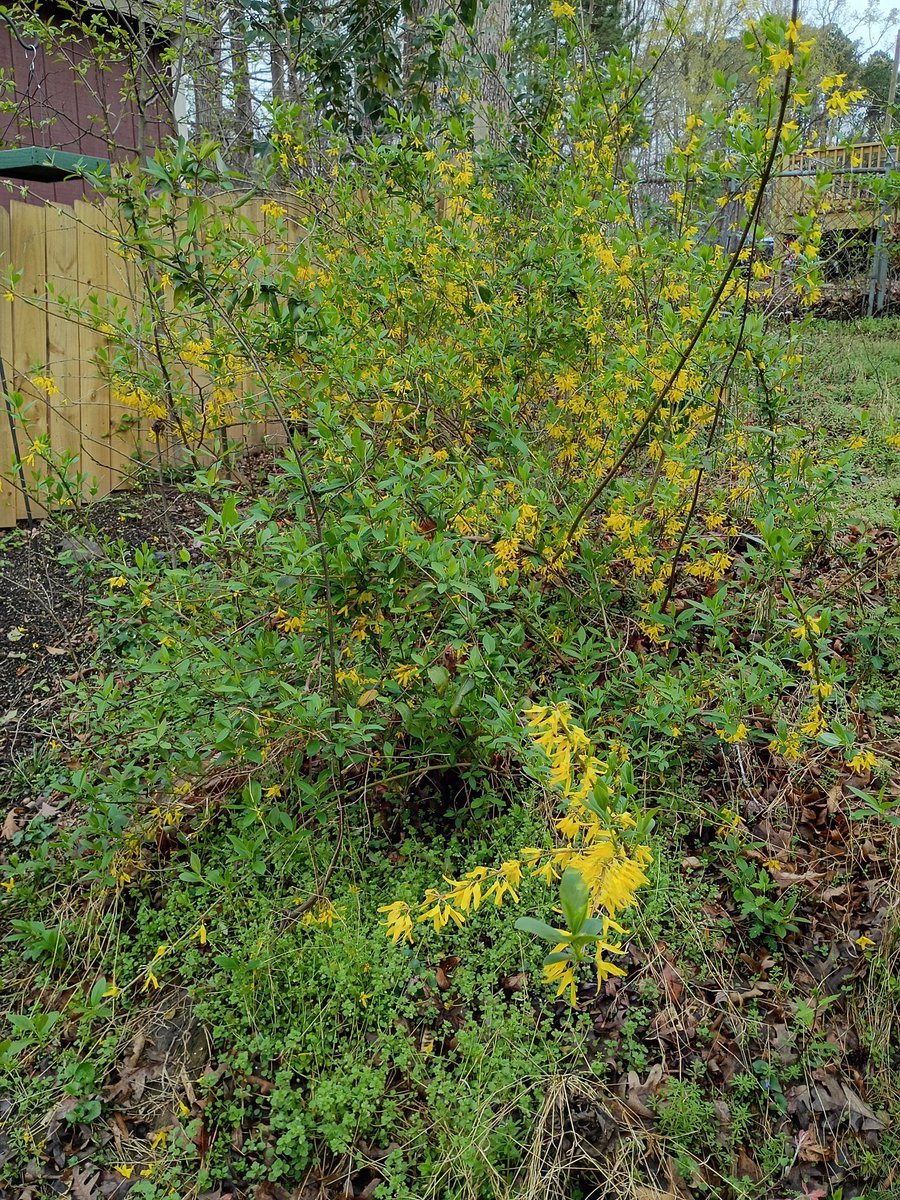 sean haugh tweet media