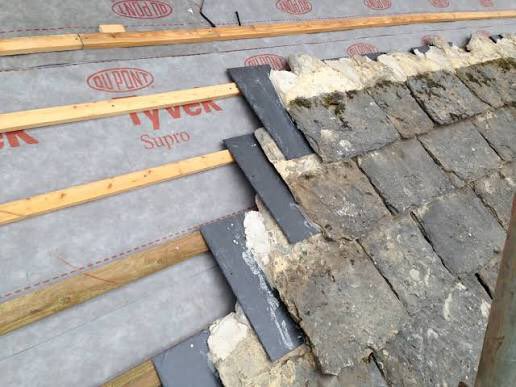 Wrath Of Gnon tweet media