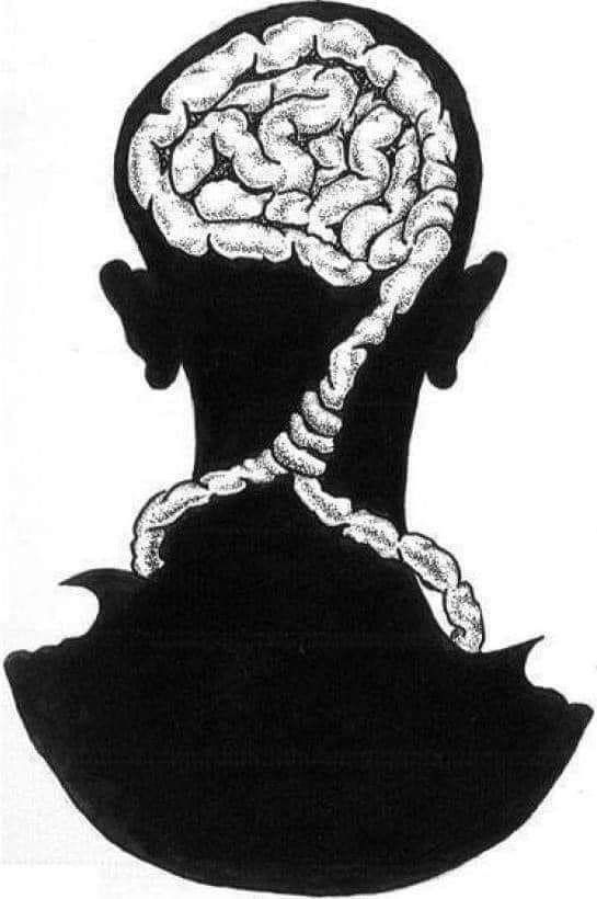 BasedBiohacker tweet media