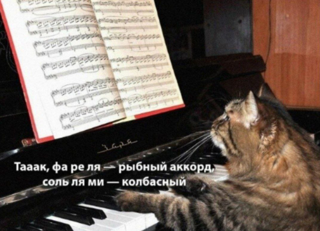 Ёмкость для вина tweet media