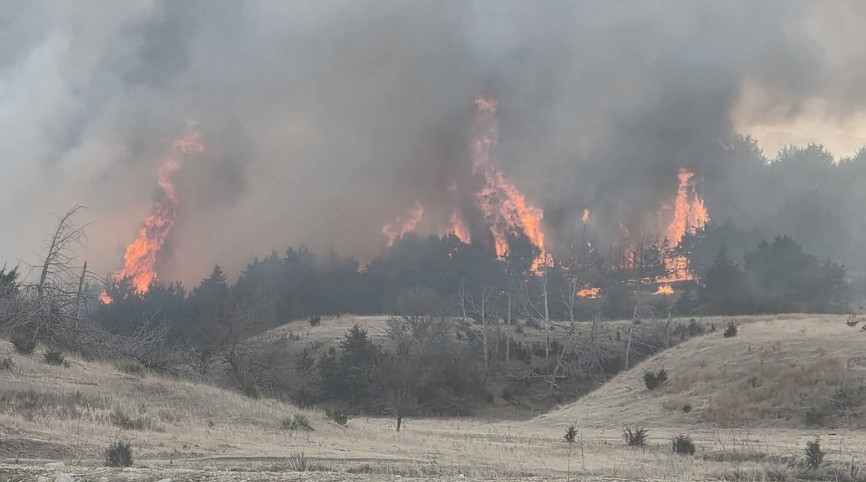 OpenSky Policy Institute tweet media