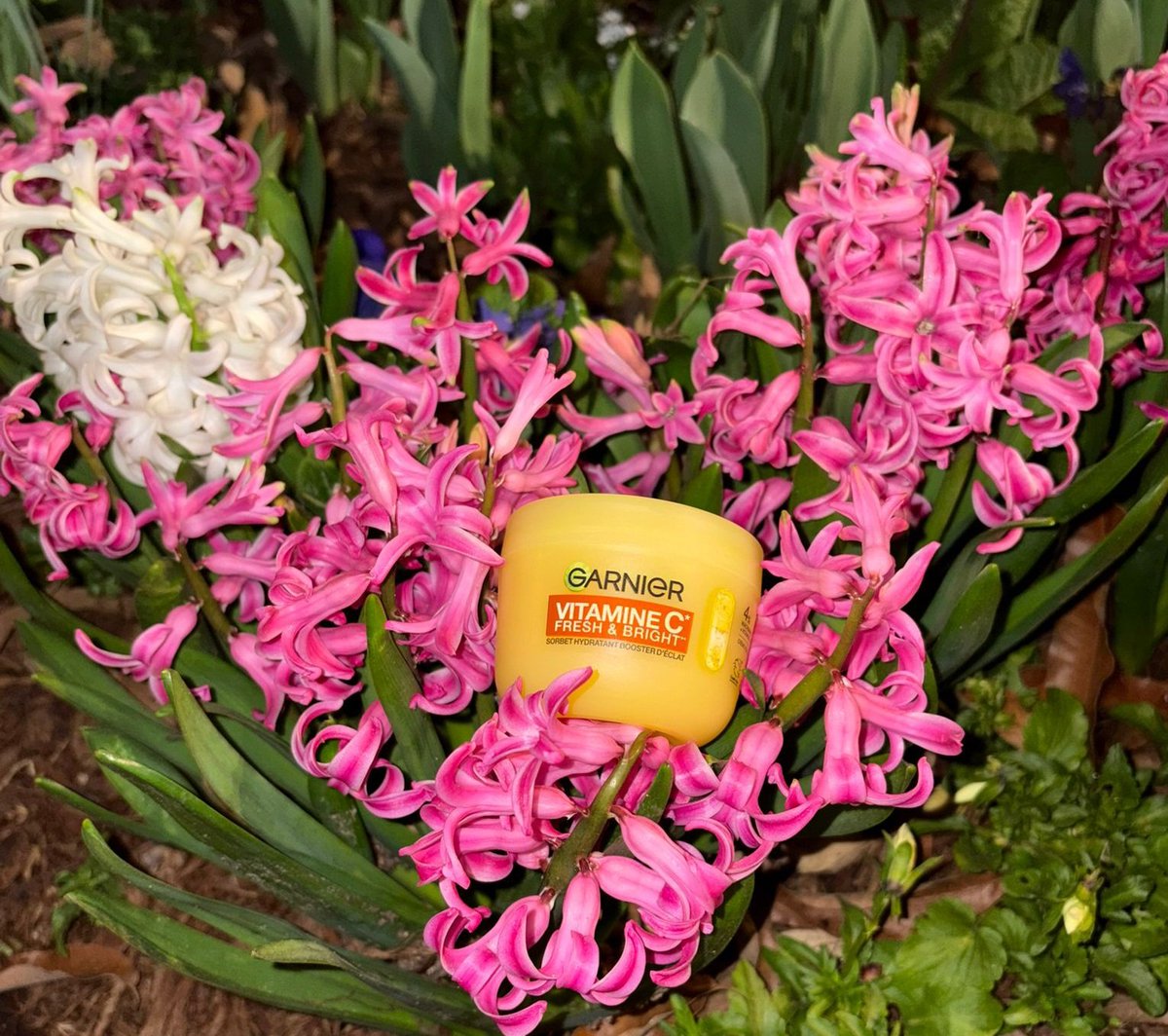 LOouciane's tweet photo. ✨ Glow du moment ✨
Je teste la crème Vitamine C Fresh &amp; Bright de Garnier grâce à TRND🍋
Texture légère effet sorbet, elle fond sur la peau et donne un vrai coup d’éclat.
Peau hydratée, fraîche et lumineuse 💛
#sorbetcrush #garnierskincare #sorbetvitaminec #produitoffert https://t.co/O8MCZACmoB