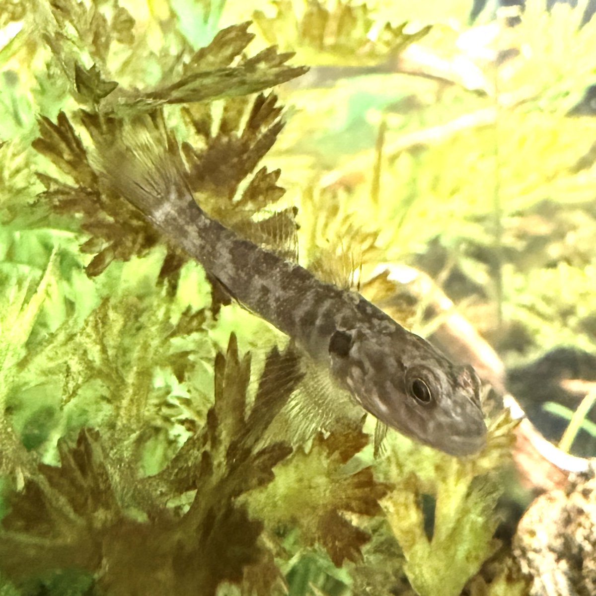 大澤剛史｜中小企業診断士 tweet media