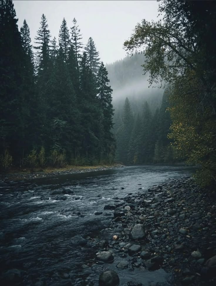 𝕰𝖑𝖊𝖒𝖒𝖎𝖗𝖊 tweet media