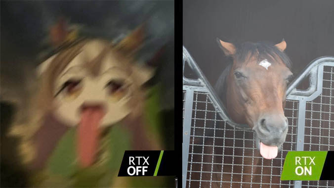 Oguro Star Blossom tweet media