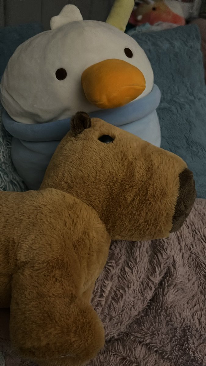 Sir Quackington Ducksworth meer Rye