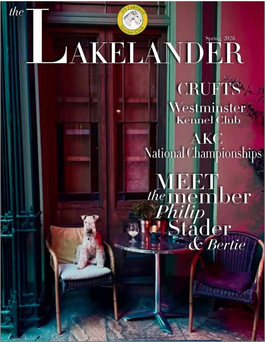 Oh my word I’m a very very proud Lakeland Terrier …… Just look at me on the cover of the Lakelander Magazine from the United Stated Lakeland Terrier Club ❤️❤️❤️