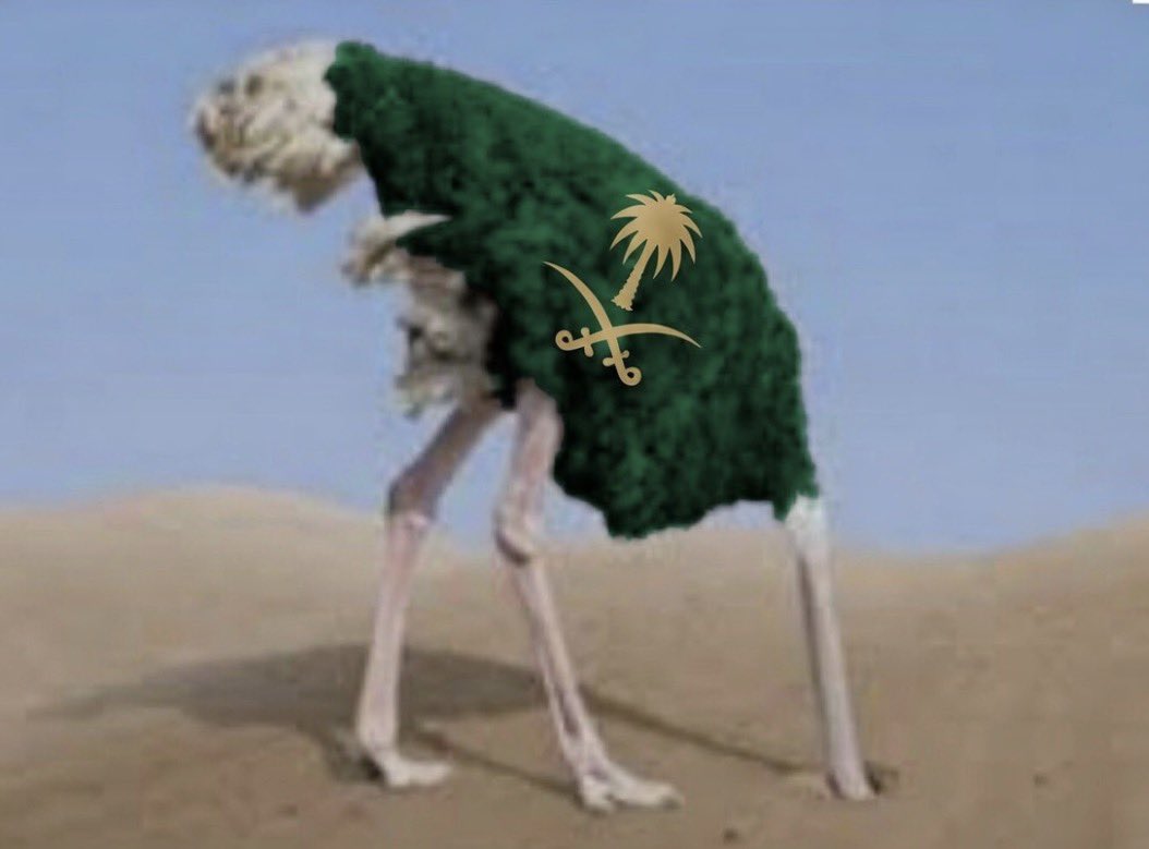 🇦🇪 𝑩𝒐𝑺𝒂𝒊𝒇 - ☠︎︎الديكتاتوري☠︎︎ 🇦🇪 tweet media