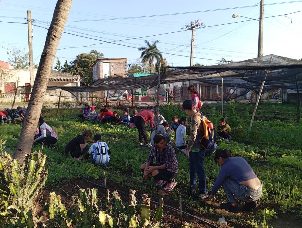 UCLV 🇨🇺 tweet media