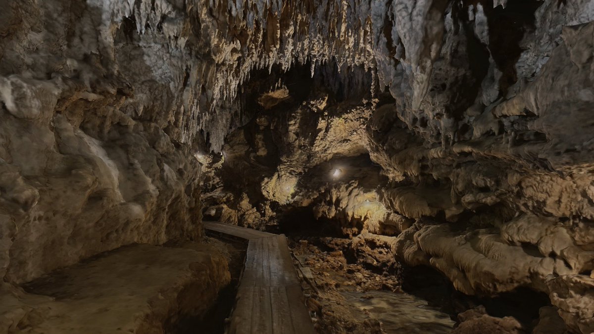 🐳うみうみ🐳(桔梗&雷琳ちゃん推し)@VRchat tweet media