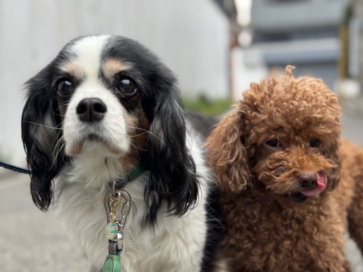 門田充宏 / Mitsuhiro Monden tweet media