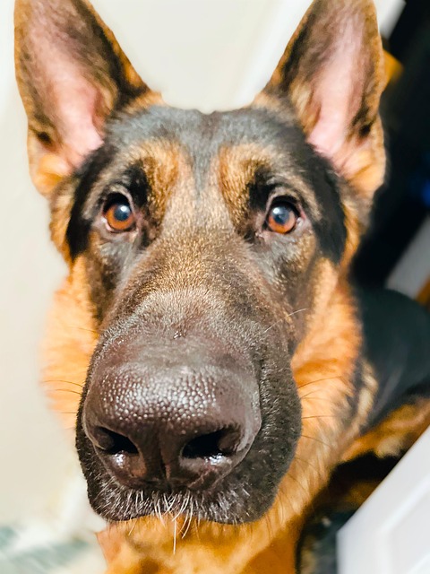 Rolando Warren tweet media