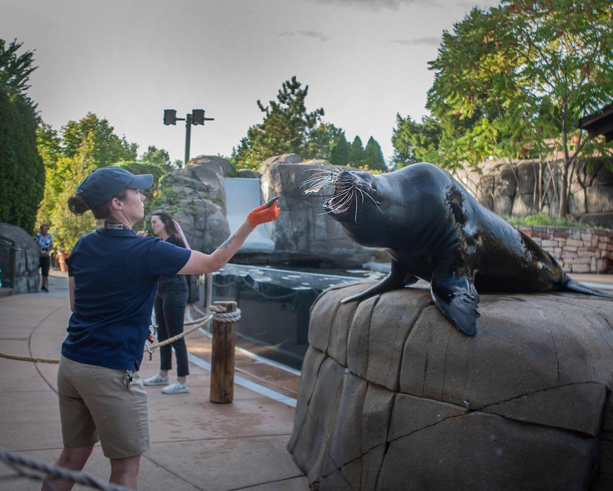 Saint Louis Zoo tweet media