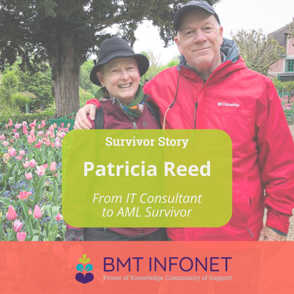 BMT InfoNet tweet media