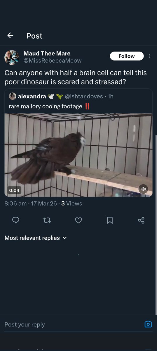 alexandra 🕊️ 🦖 tweet media