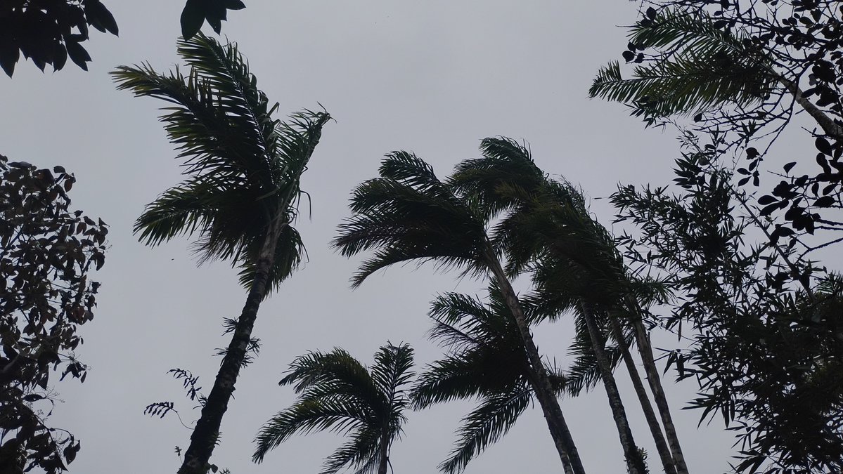 Tydyn Rain St. Clair tweet media