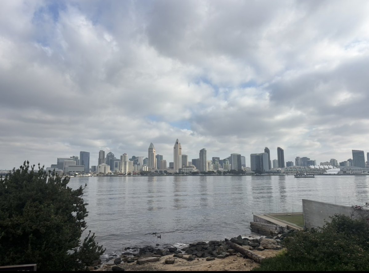 Luis Peraza tweet media