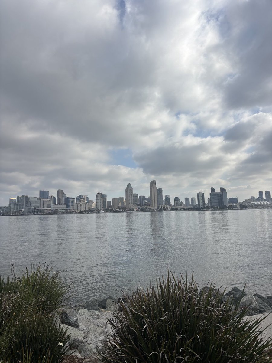 Luis Peraza tweet media