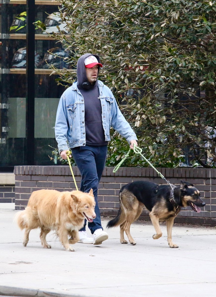 Chloe* ~ sebstan44 💛 held Seb's hand!! tweet media