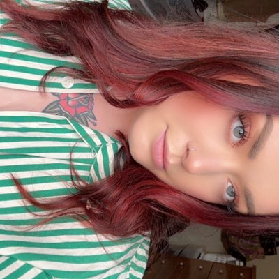 dr mantis toboggan tweet media