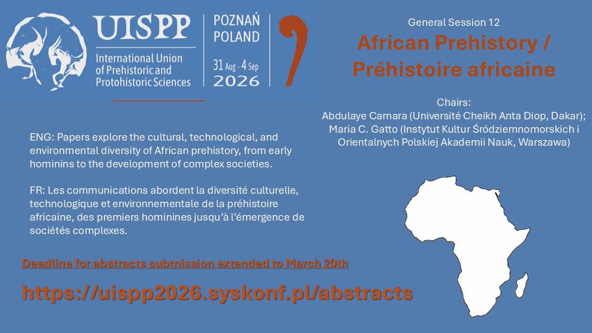 Maria Gatto tweet media